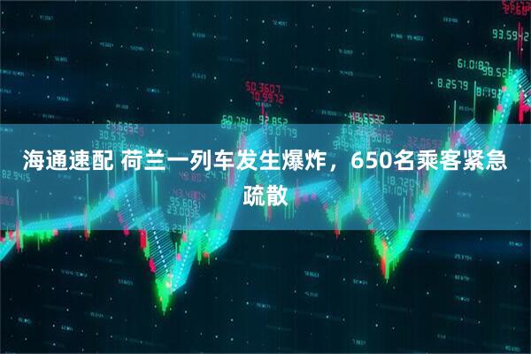 海通速配 荷兰一列车发生爆炸，650名乘客紧急疏散