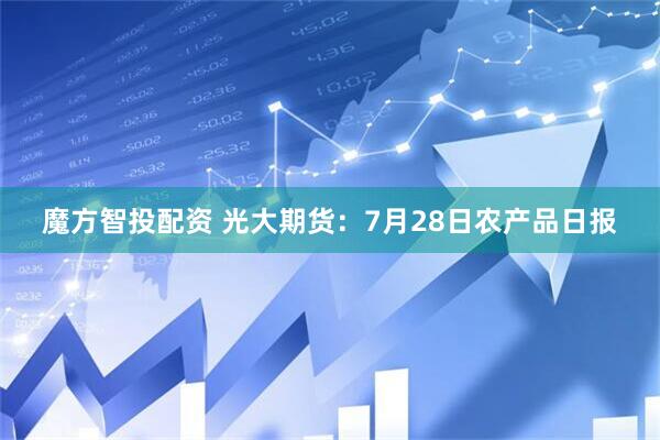 魔方智投配资 光大期货：7月28日农产品日报