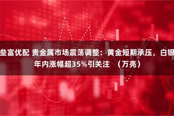 垒富优配 贵金属市场震荡调整:黄金短期承压,白银年内涨幅超35%引关注 (万亮)