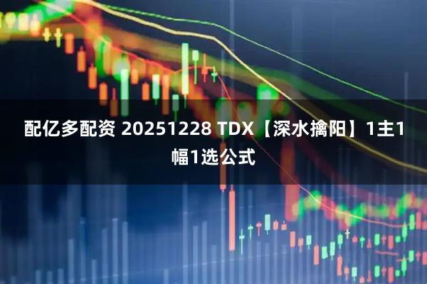 配亿多配资 20251228 TDX【深水擒阳】1主1幅1选公式